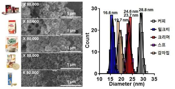 실제 식품으로부터 자성분리 및 회수한 이산화규소 나노입자의 주사전자현미경 및 입자크기분포도 분석 결과 (종합)