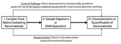 식품에서 나노물질 검출 및 특성분석을 위한 전략(Singh, 2014)