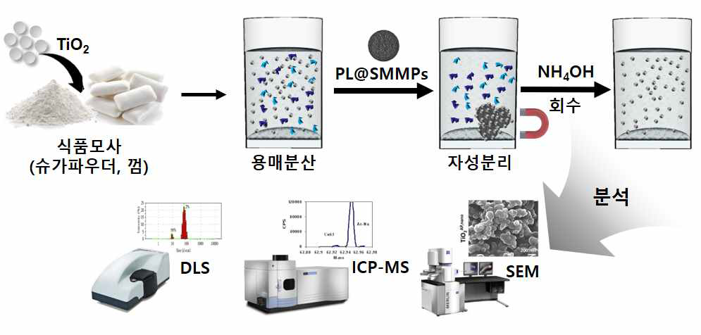 모사식품시료 내 이산화티타늄의 자성분리 및 회수 모식도