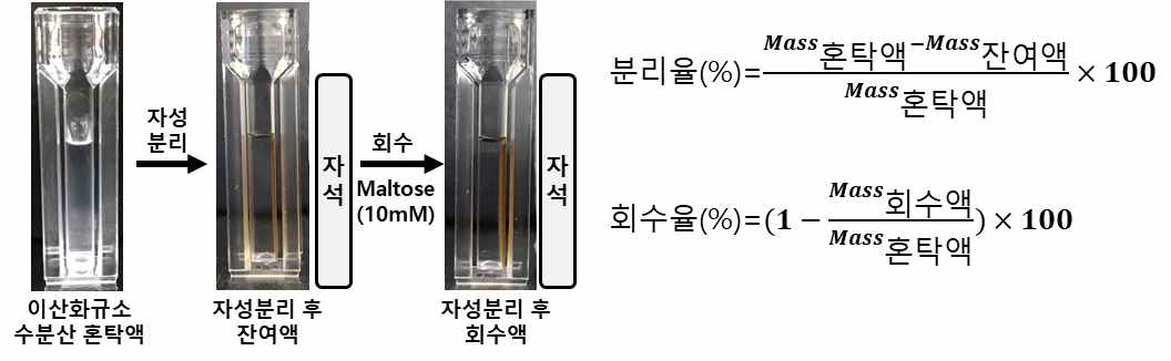 수분산 된 이산화규소의 자성분리 및 회수 결과 및 분리·회수율 계산식