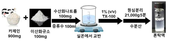 카제인 모사식품 제조 모식도