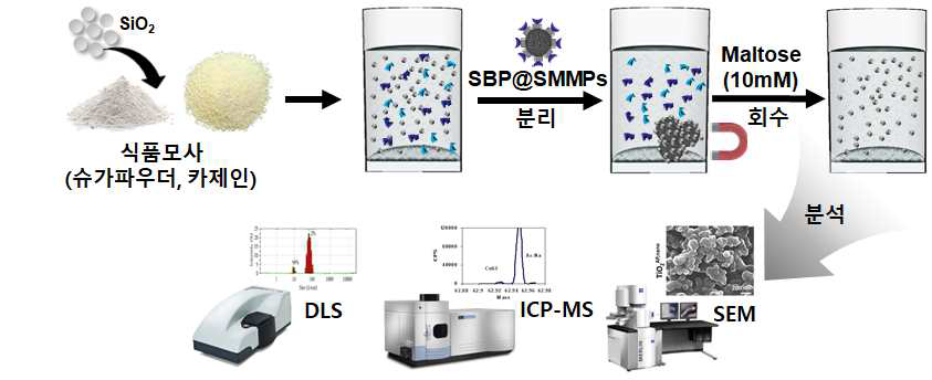 모사식품시료 내 이산화규소의 자성분리 및 회수 모식도