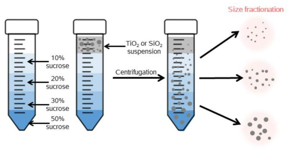 수크로스 분획을 이용한 식품 첨가물 나노입자의 입자 크기별 분리방법