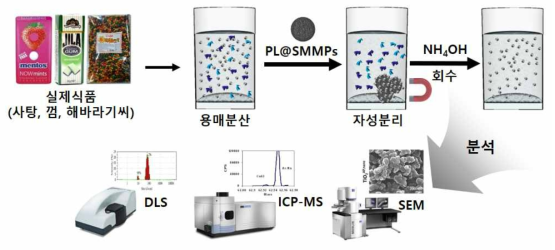 분리된 식품시료 내 이산화티타늄의 자성분리 및 회수 모식도