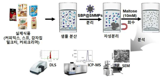 분리된 식품시료 내 이산화규소의 자성분리 및 회수 모식도