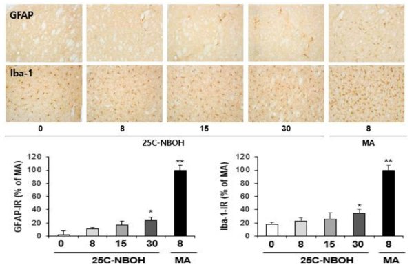 GFAP-immunoreactive astrocyte and Iba-1-immunoreactive microglia induced by multiple doses (four times injection with 2hrs´ time interval) of 25C-NBOH (8, 15 or 30 mg/kg, i.p.)(x200 magnification)