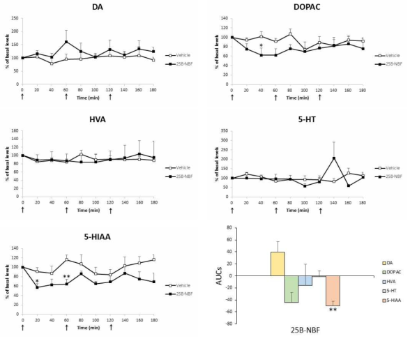 Changes of the levels of DA, 5-HT and their metabolites in microdialysate collected from rats administered with 25B-NBF (0.3 mg/kg, 1 mg/kg and 3 mg/kg, i.p., mean ± S.E.M, n=4-6). Each arrow in order represents the time of the administration of 0.3 mg/kg, 1 mg/kg and 3 mg/kg, respectively. The area under the curves (AUCs) were calculated, expressed as a percent of baseline. *P < 0.05 or **P < 0.01 vs. Vehicle (one-way ANOVA and Bonferroni post hoc test)