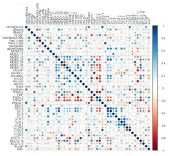 Correlation Plot