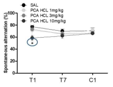 The effects of PCA HCl on the Y-maze test (for learning and memory impairment) in mice. Values are mean ± S.E.M. n = 10 animals per group. *p < 0.05, **p < 0.01, ***p < 0.001 significantly different from the saline group [Bonferroni´s post-test]. T1; treatment day 1, T7; treatment day 7, C1; challenge day 1