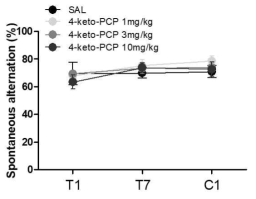 The effects of 4-Keto-PCP HCl on the Y-maze test (for learning and memory impairment) in mice. Values are mean ± S.E.M. n = 10 animals per group. *p < 0.05, **p < 0.01, ***p < 0.001 significantly different from the saline group [Bonferroni´s post-test]. T1; treatment day 1, T7; treatment day 7, C1; challenge day 1