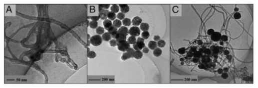 multi-wall carbon nanotube (B) magnetic nanoparticle (c) MWCNT+MNP