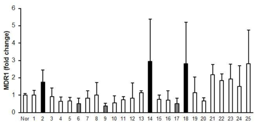 프로바이오틱스 또는 그 제품을 투여한 마우스의 소화관점막의 p-glycoprotein 발현양 분석