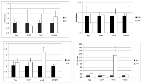 건강기능식품(F6[OS], F11(CBE), F19(GLE), F22(GTE)을 투여한 마우스의 분변이 Caco-2 세포의 p-glycoprotein, BCRP, MRP2, CYP3A4 발현 발현에 미치는 효과. 위, PCR로 분석