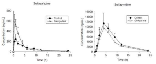 농도 20 mg/kg sulfasalazine 을 경구 투여 후, 대조군과 은행잎을 먹인 비교군에서의 sulfasalazine과 그의 대사체 sulfapyridine 혈중 농도