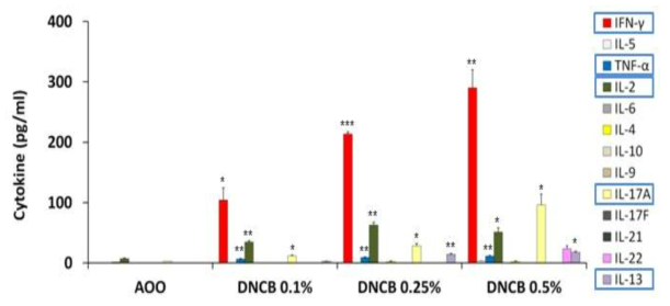 DNCB Cytokine 수행 결과
