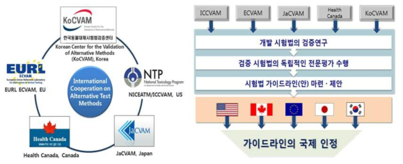 동물대체시험법 국제협력 (ICATM) MOC 체결 및 역할