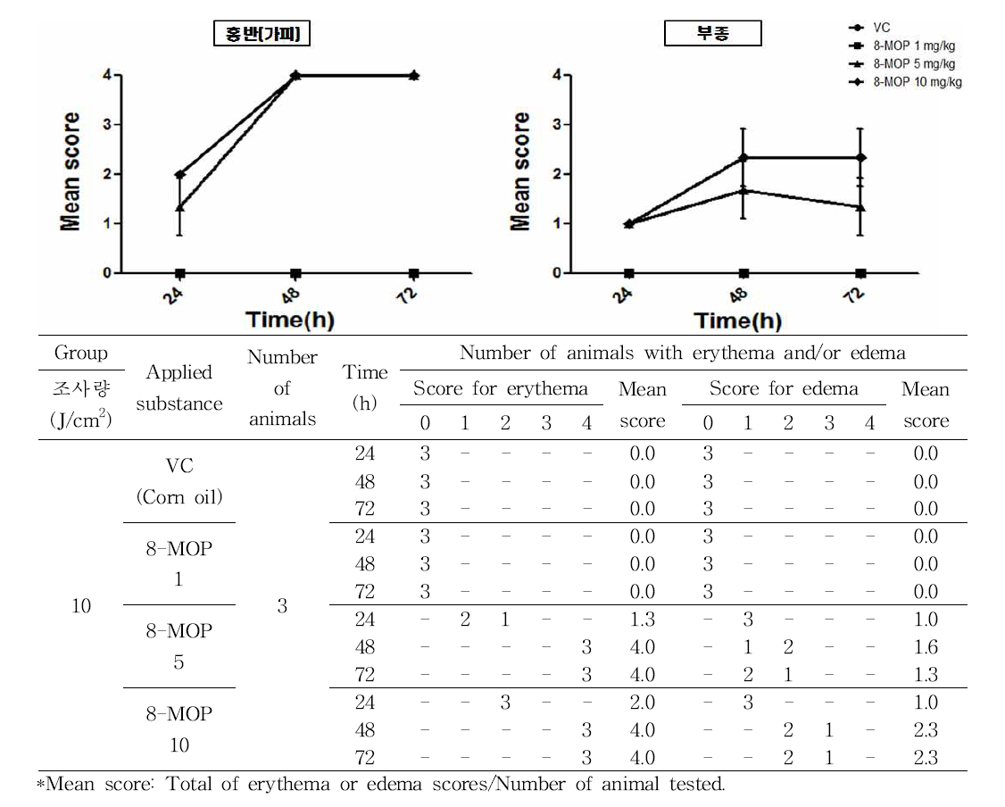In vivo 실험에 대한 8-MOP의 광독성 시험 결과