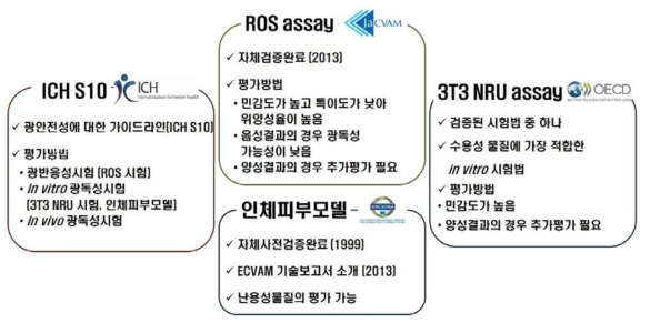 ICH S10의 비임상 광안전성시험법 현황