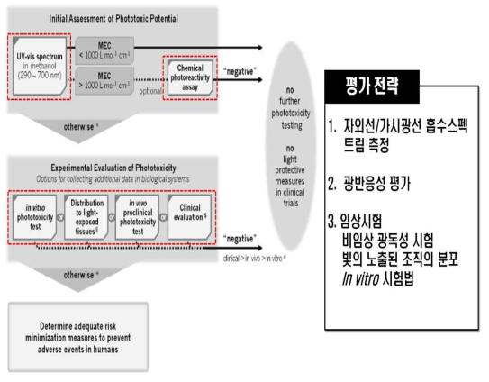 ICH S10의 광안전성 평가 전략