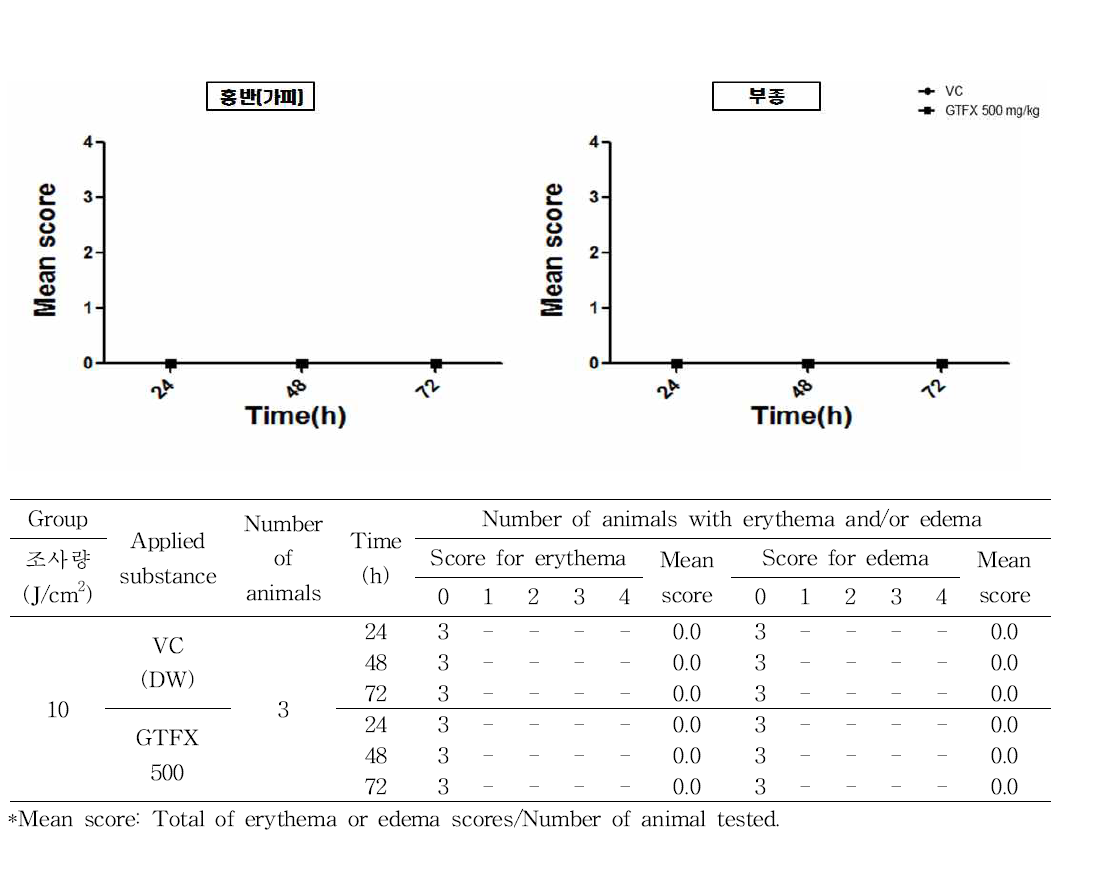 In vivo 실험에 대한 GTFX의 광독성 시험 결과