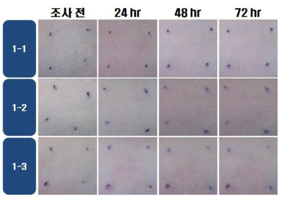 IBF 0.1 w/v %의 광독성 시험 결과