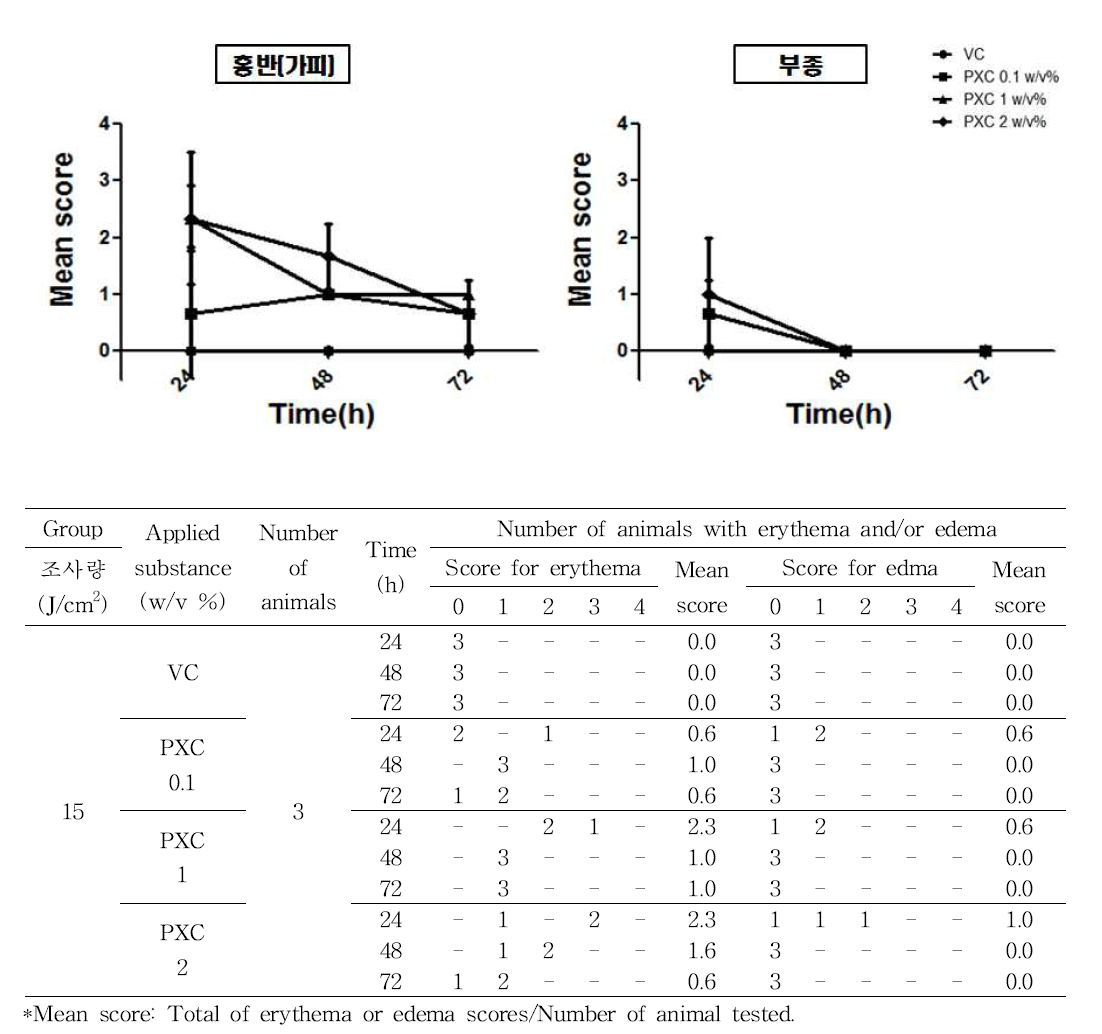 In vivo 실험에 대한 PXC의 광독성 시험 결과