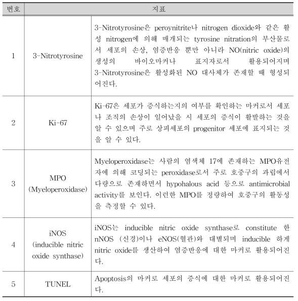 전신적용 의약품의 면염염색 지표