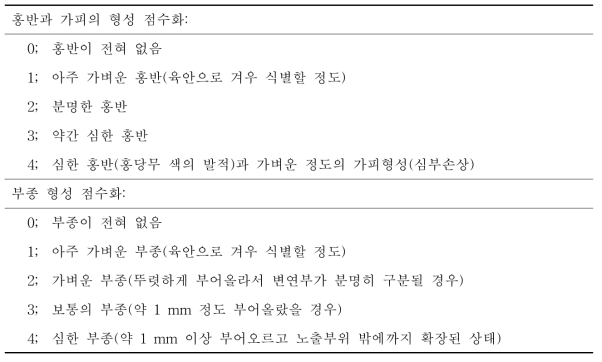 피부반응의 판정 (Draize