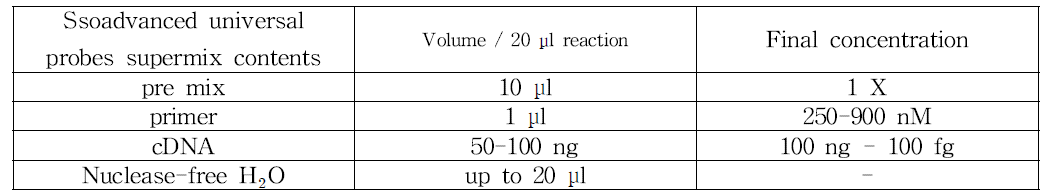 Real-time PCR mixture 조성