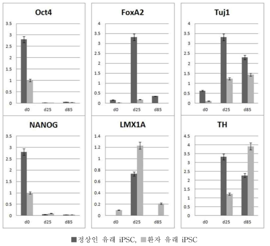 정상인 유래 iPSC와 환자 유래 iPSC의 RNA 발현 확인