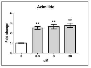 Azimilide 처리에 따른 troponin 결과. Data is mean fold change of control ± S.E.M. **p<0.01 vs control