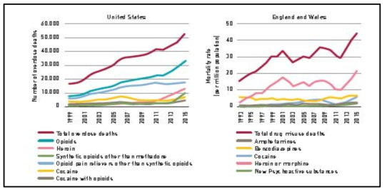 미국과 영국(및 웨일스)의 마약류 관련 사망 통계