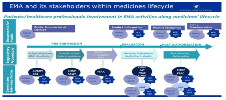의약품 개발 과정에서 EMA 및 관계자의 역할