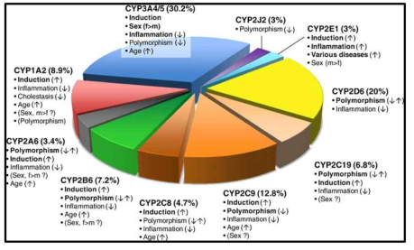 임상에서 사용되는 약물의 대사에 관여하는 각 시토크롬 P450s (CYPs) 동효소의 비율 및 개체 간 변이에 영향을 주는 인자 (Zanger & Schwab, 2013)