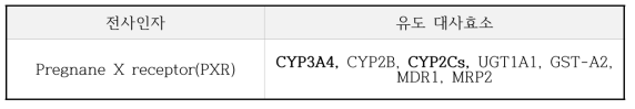 전사효소에 의한 유도되는 약물대사효소 (볼드체 표시는 대표적 유도 효소임)