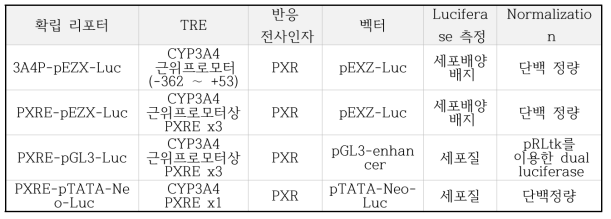 확립한 PXR의 TRE 리포터