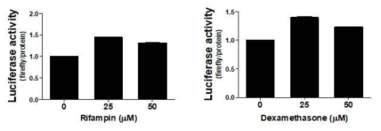 HepG2에서 rifampin 및 dexamethasone 처치에 의한 PXRE-pGL3-Luc 활성 변화