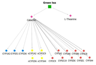 in vitro 분석 결과