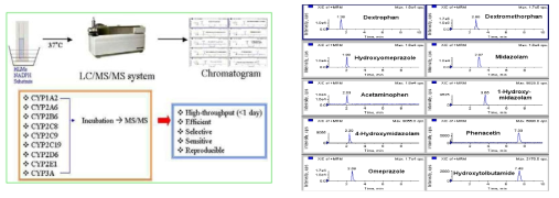 고속 약물대사효소 활성 평가 시스템을 이용한 분석 예시