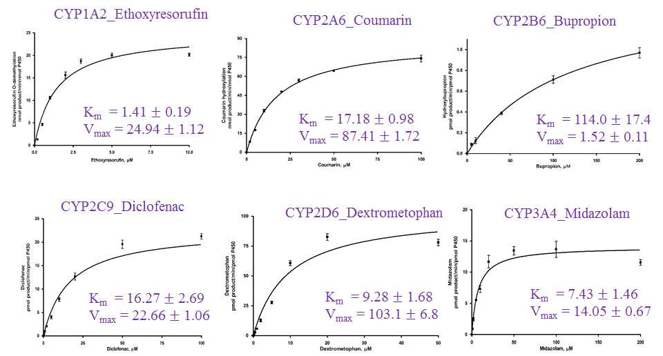 6종의 P450 효소들의 기질 특이성을 통한 Steady-state kinetics