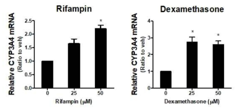 HepG2 간암세포에서 rifampin 및 dexamethasone의 처치 후 CYP3A4 mRNA 발현 수준의 증가