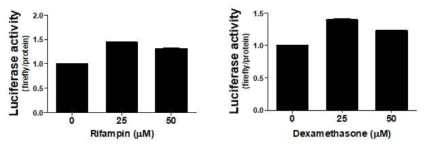 HepG2에서 rifampin 및 dexamethasone 처치에 의한 PXRE-pGL3-Luc 활성 변화