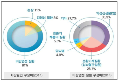 우리나라 사망원인 구성비