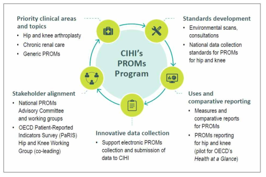 캐나다의 CIHI의 PROMs Program