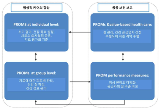 PROM의 다양한 목적별 사용을 위한 프레임워크