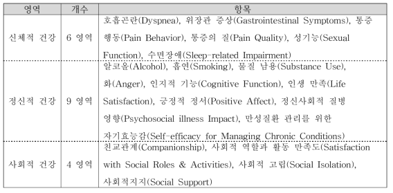 PROMIS 추가 도메인