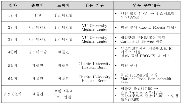 일정 및 수행 내용