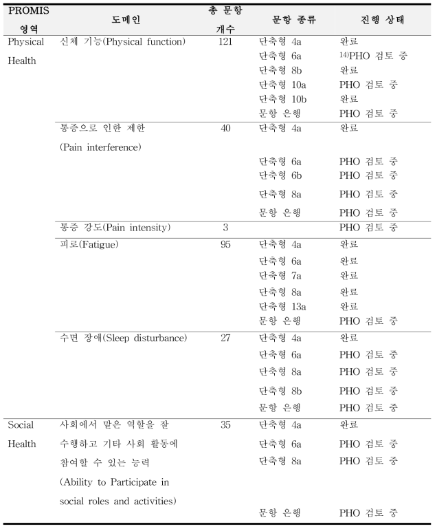 PROMIS 한국어판 진행 현황