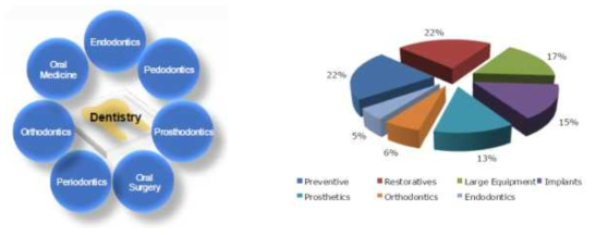 다양한 치과 분야 및 분야별 시장 점유율 자료 : Koncept Analytics, 2015