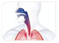 고유량 가스의 공급